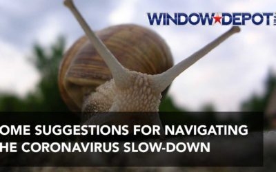 Some Suggestions for Navigating the Coronavirus Slow-Down